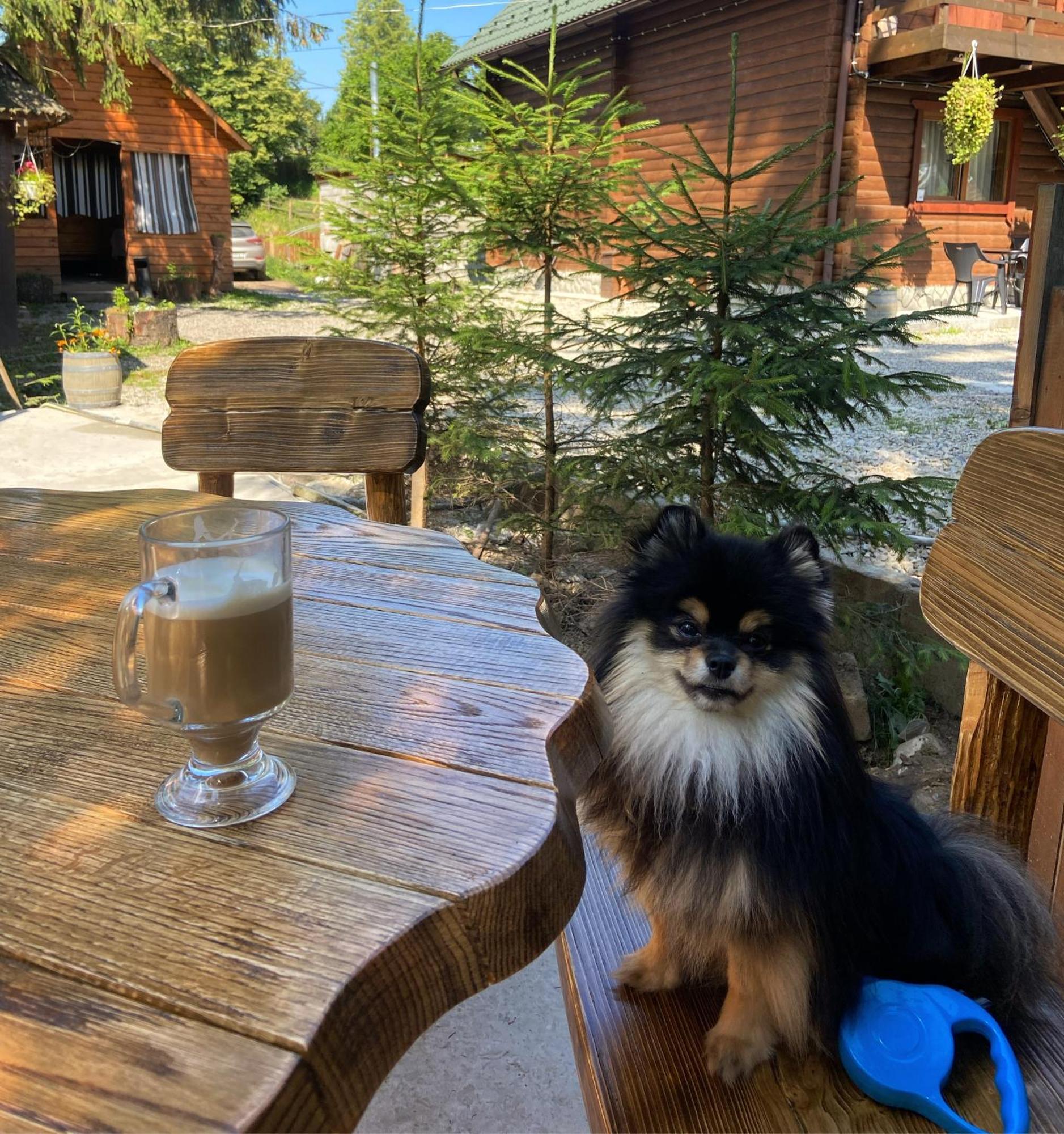 Водограй Vorokhta Exterior foto
